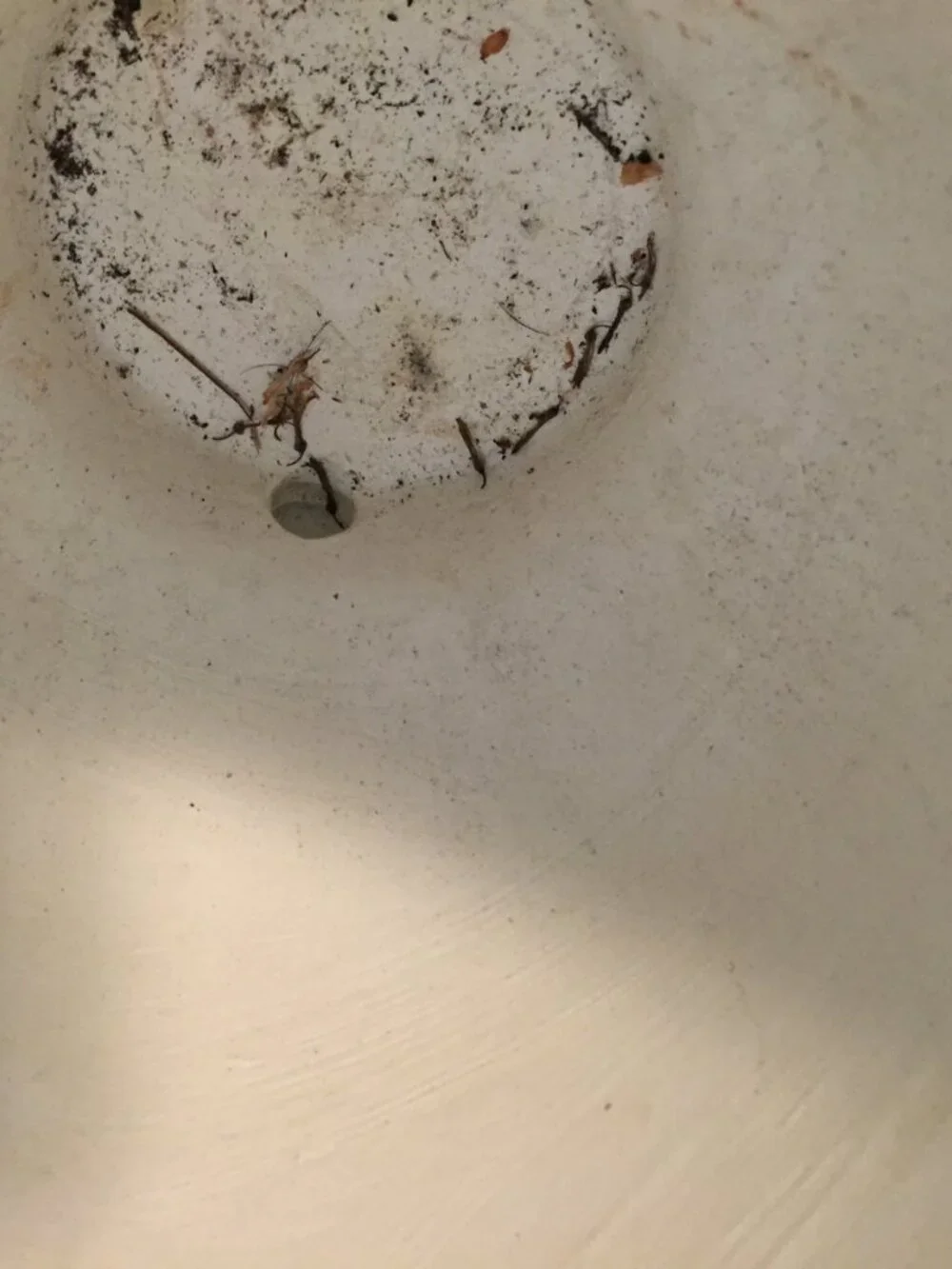 N/A hanging teardrop